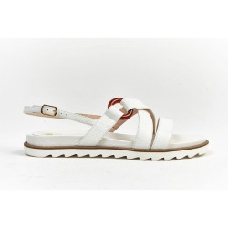 200F - Cerf - BLANC