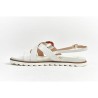 200F - Cerf - BLANC