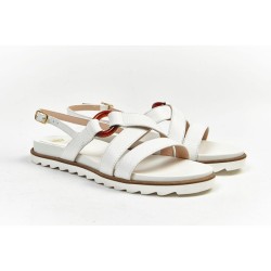 200F - Cerf - BLANC